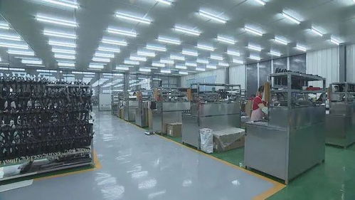 成武民營企業 揚帆出海，暢銷海內外市場